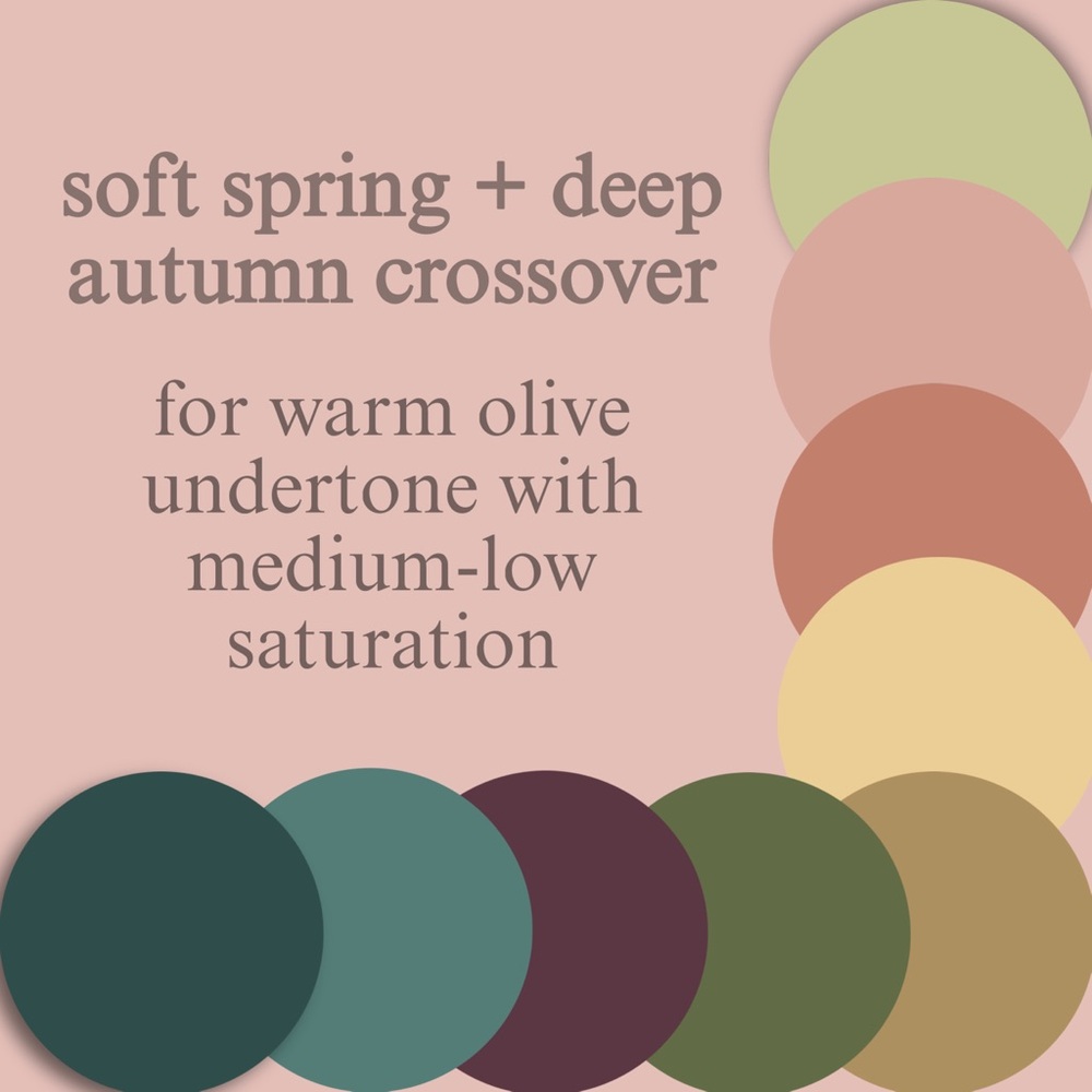 Shades of You Color Analysis - Picture 2 of 4
